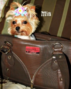 Bond Girl Smuggler Purse with Mia Yorkshire Terrier