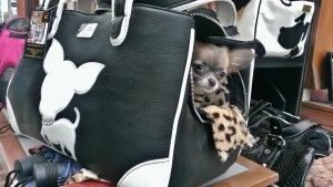 Te Quiero Chihuahua Rescue Me Tote