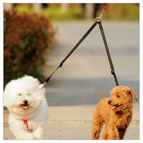 2 Dog Lead Coupler