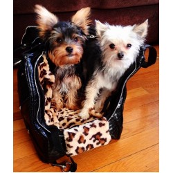 Luxury Pet Bags