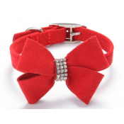 Collars/ Harnesses/ Leads/Shoes