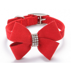 Collars/ Harnesses/ Leads/Shoes