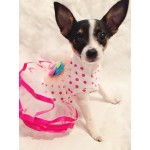 Cherry Dot Tutu Dress