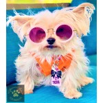 Chloe Sunnies Dog Glasses