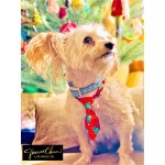 Holiday Pet Ties