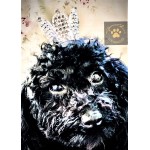 Crystal Pet Crown