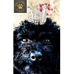 Crystal Pet Crown