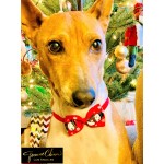 Holiday Bow Tie