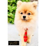 Holiday Pet Ties