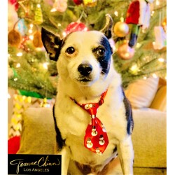 Holiday Pet Ties
