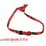 Holiday Pet Ties