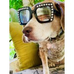 Hollywoof Sunglasses