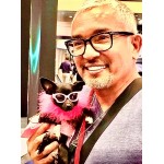 Tiny Dog Butterfly Sunglasses