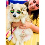 Medium Pet Glasses Medium Pet Glasses