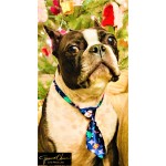Holiday Pet Ties