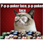 Aviator Dog Glasses Aviator Dog Glasses