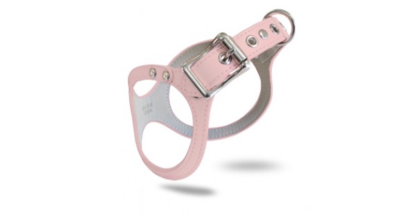 buddy belt size chart