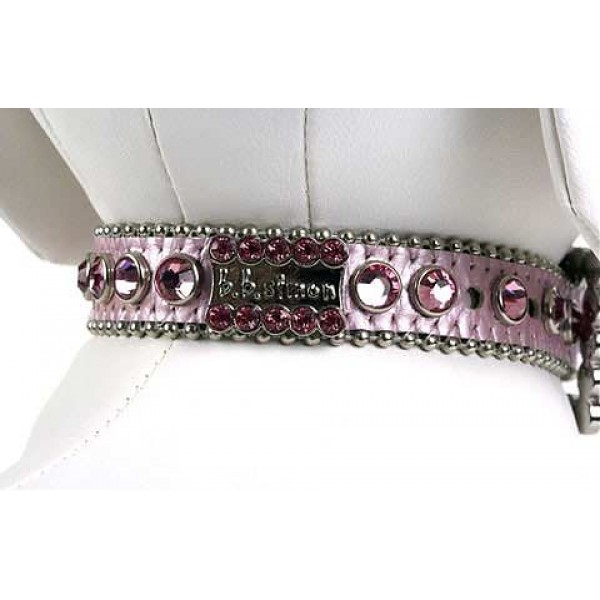 Bb Simon Dog Collar