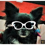 Tiny Dog Butterfly Sunglasses