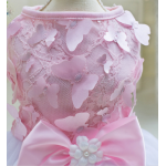 Butterfly Tutu Dress