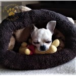 Pet Sleeping Bag Bed