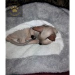 Pet Sleeping Bag Bed