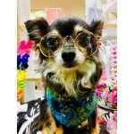 Little Lennon Pet Glasses Little Lennon Pet Glasses