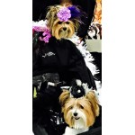 Rosette Feather Fascinator