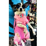 Little Lennon Pet Glasses Little Lennon Pet Glasses