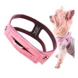 Designer Choke Free Ostrich Harness