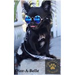 Little Lennon Pet Glasses Little Lennon Pet Glasses