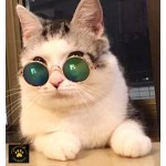 Little Lennon Pet Glasses Little Lennon Pet Glasses