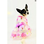 Pupsicle Dress Pupsicle Dress