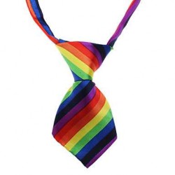 Rainbow Pet Tie