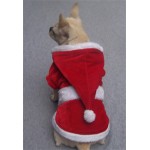 Santa Paws Outfit Santa Paws Outfit