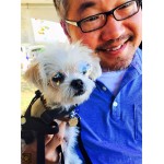 Little Lennon Pet Glasses Little Lennon Pet Glasses