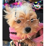 Little Lennon Pet Glasses Little Lennon Pet Glasses