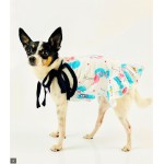 Tropical Dress Tropical Dress