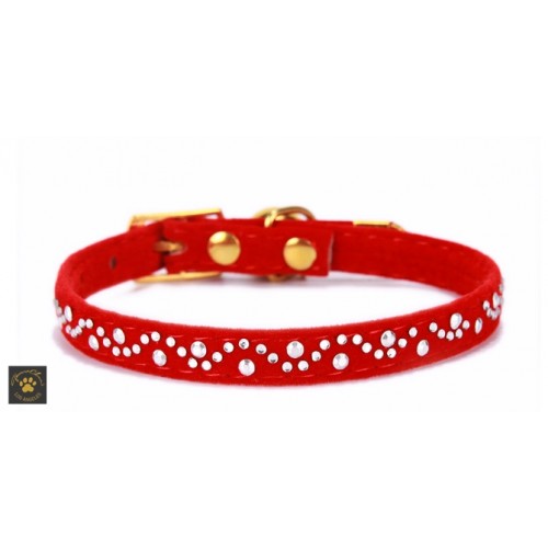 Velveteen Micro Stud Bell Collar