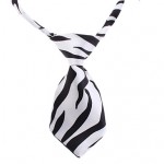 Zebra Tie