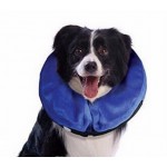 Inflatable E Collar Inflatable E Collar