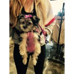 Dog Front Pack Carrier