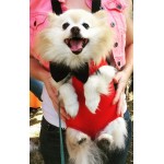 Dog Front Pack Carrier